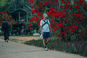 BIB: 
                            <button type="button" onclick="openModal(26142445)" class="btn btn-primary btn-sm float-right btn-popup" data-toggle="modal" data-target=".modal-high-quality">
                        <i class="fas fa-shopping-cart"></i> Add to Cart
                    </button>
                                            <button type="button" onclick="isThisMe(26142445, true)" class="btn btn-success btn-sm float-right btn-popup btn-isme hidden" data-toggle="tooltip" data-placement="bottom" title="นี่คือรูปของคุณใช่ไหม คลิกที่นี่เพื่อเอาเข้าอัลบั้ม">
                        <i class="fas fa-plus"></i> Add to album
                    </button>
                    <button type="button" onclick="isThisMe(26142445, false)" class="btn btn-warning btn-sm float-right btn-popup btn-isnotme hidden">
                        <i class="fas fa-ban"></i> Remove from album
                    </button>